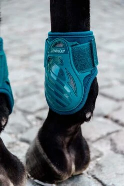 Kentucky Horsewear Jungpferde Streichkappe -Cavallo Verkäufe 342513 EGR 2