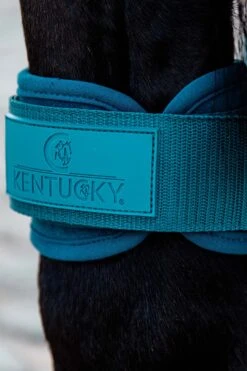 Kentucky Horsewear Jungpferde Streichkappe -Cavallo Verkäufe 342513 EGR 3