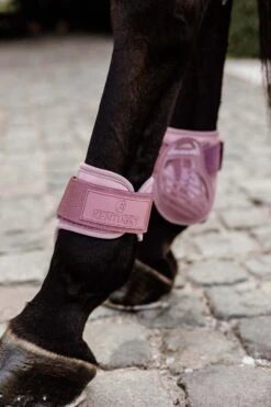 Kentucky Horsewear Jungpferde Streichkappe -Cavallo Verkäufe 342513 ORPI 3