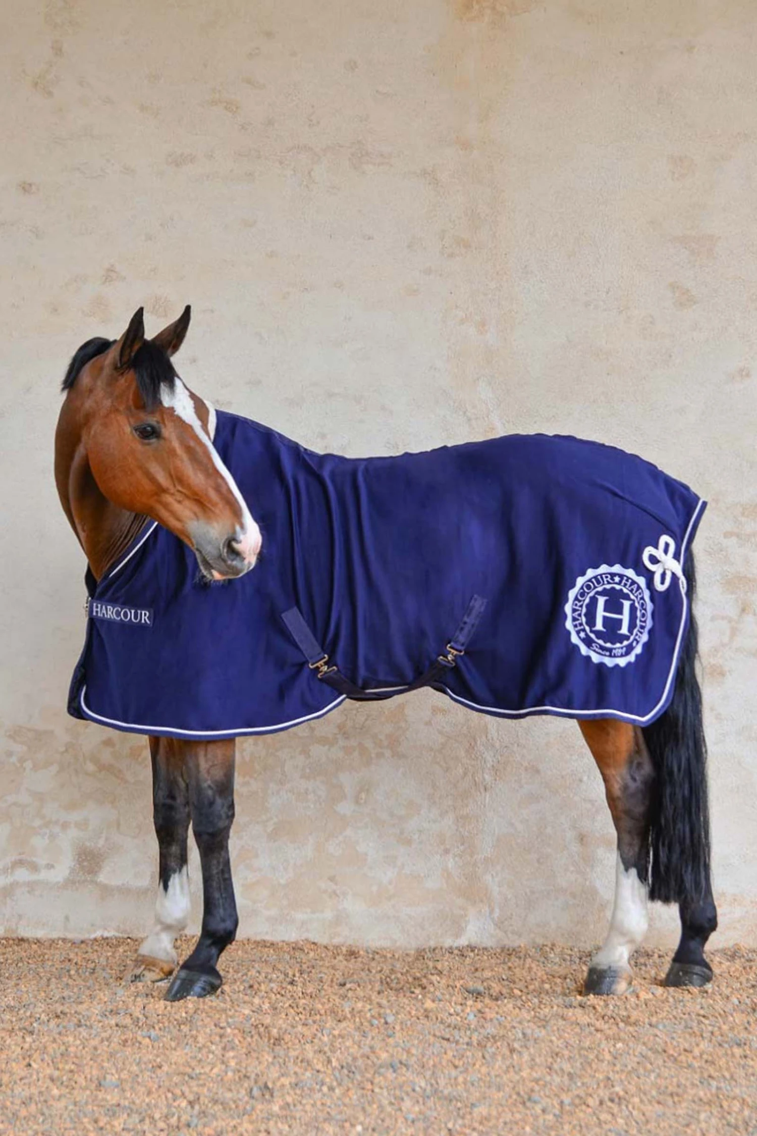 Harcour Cancale Abschwitzdecke 1 Harcour Cancale Abschwitzdecke