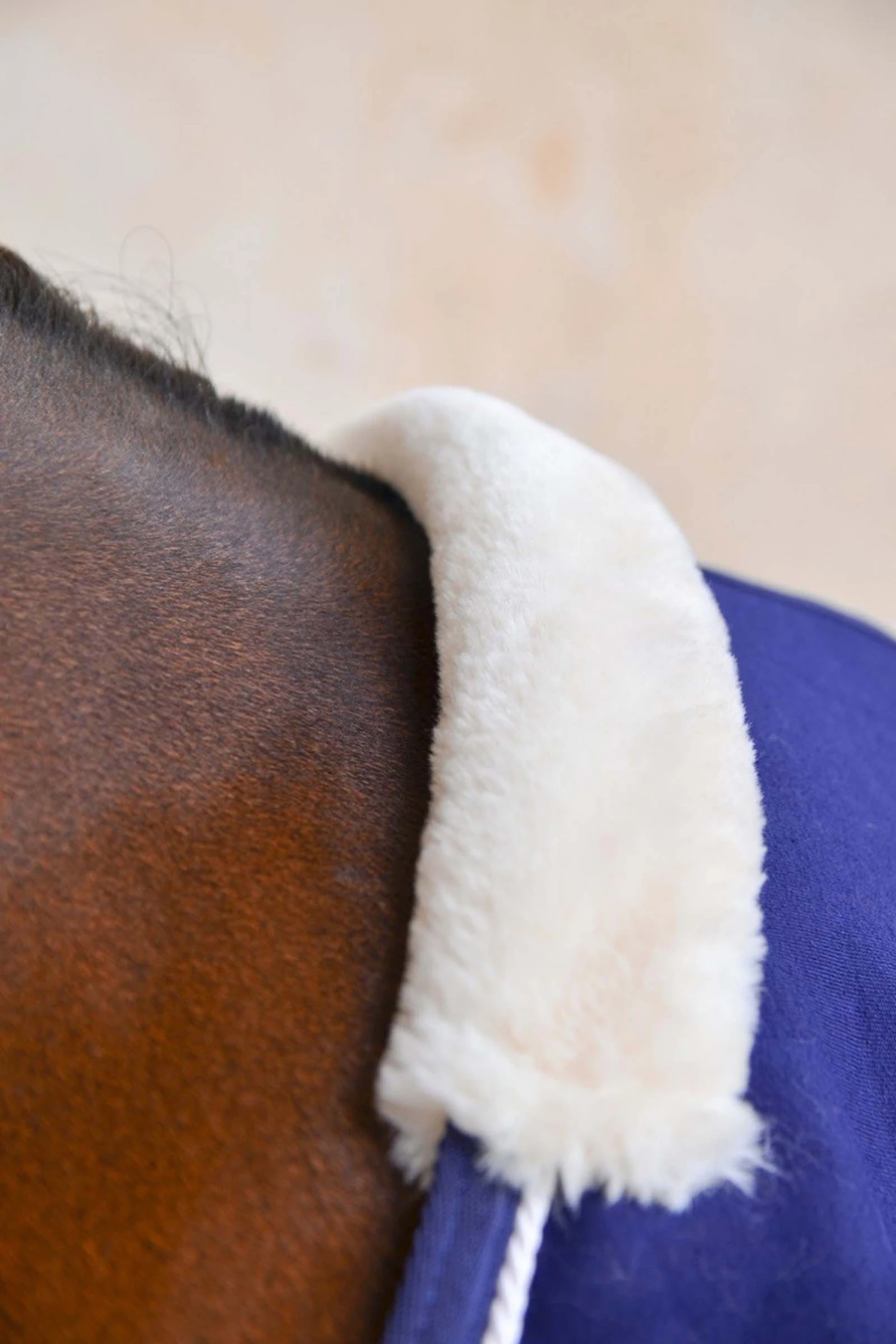 Harcour Cancale Abschwitzdecke 3 Harcour Cancale Abschwitzdecke – Bild 3