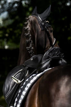 Eskadron Essence 22/23 Big Square Glossy Dressurschabracke -Cavallo Verkäufe 342542 BL WH LOGR 3