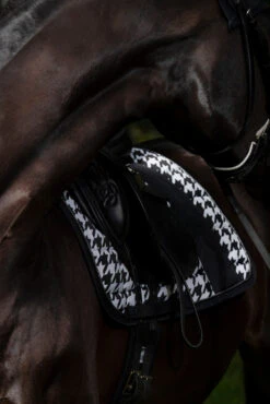 Eskadron Essence 22/23 Big Square Glossy Dressurschabracke -Cavallo Verkäufe 342542 BL WH LOGR 5