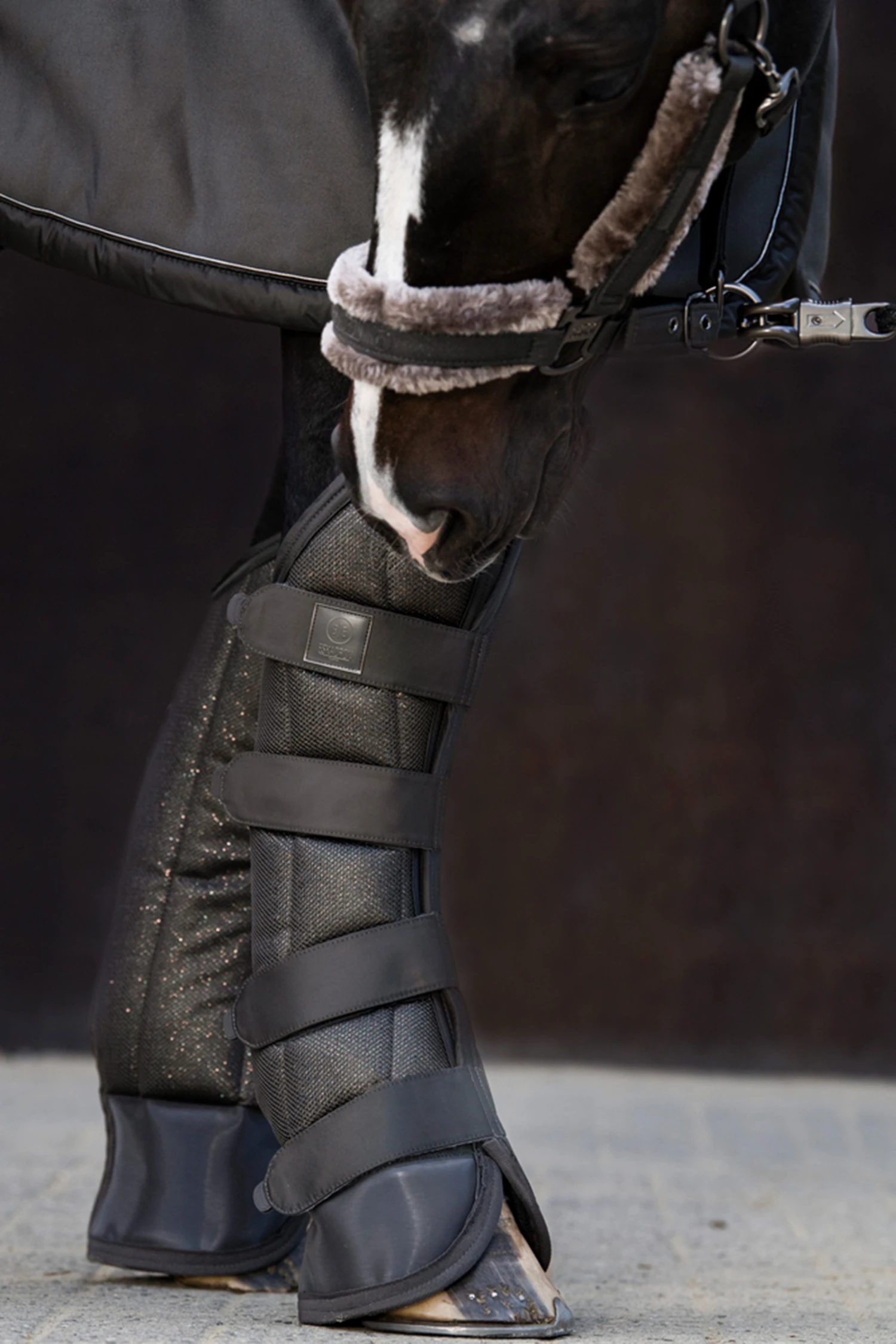 Eskadron Essence 22/23 Glitter Mesh Transportgamaschen 2 Eskadron Essence 22/23 Glitter Mesh Transportgamaschen – Bild 2