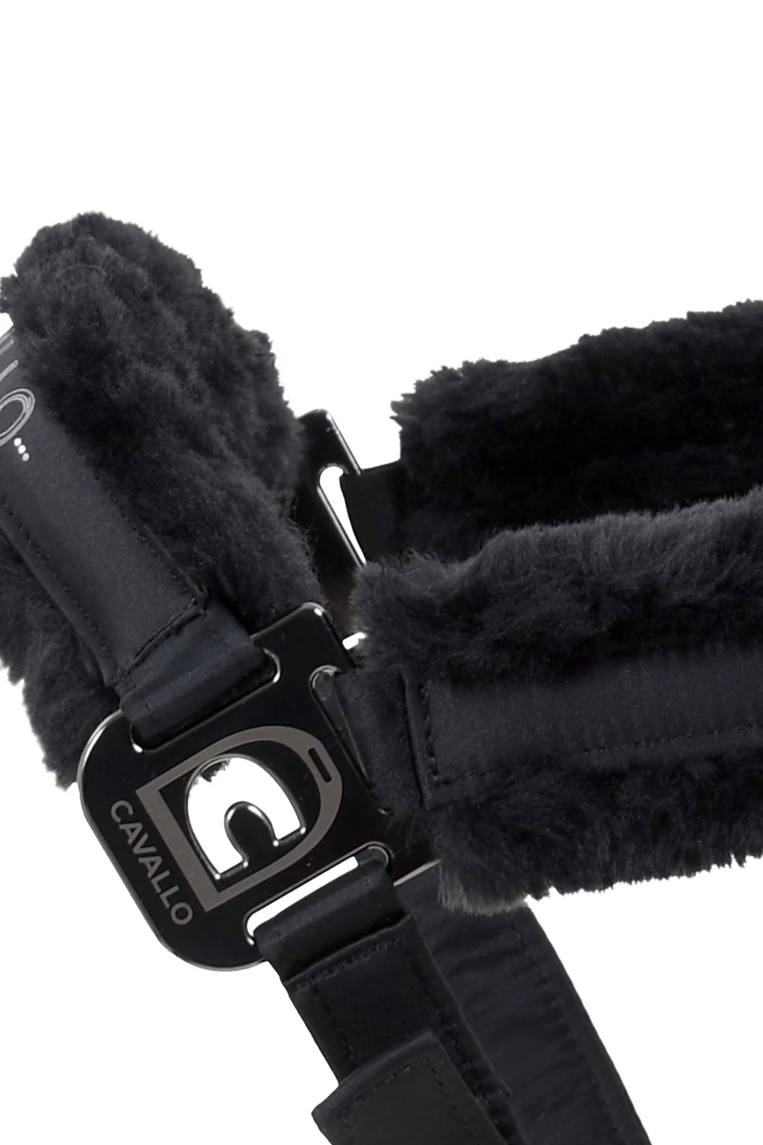 Cavallo Hafida Halfter 2 Cavallo Hafida Halfter – Bild 2