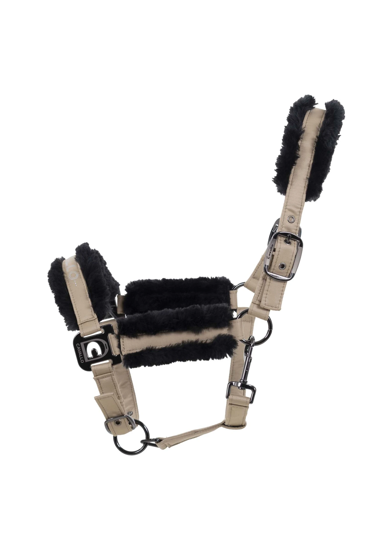 Cavallo Hafida Halfter 3 Cavallo Hafida Halfter – Bild 3