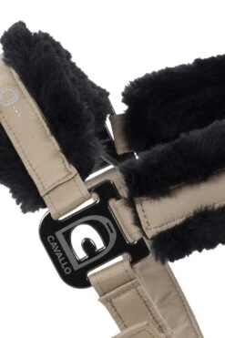 Cavallo Hafida Halfter 9 Cavallo Hafida Halfter -Cavallo Verkäufe 342676 SLBR 2