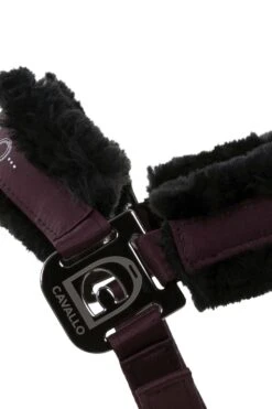 Cavallo Hafida Halfter 11 Cavallo Hafida Halfter -Cavallo Verkäufe 342676 WRE 2