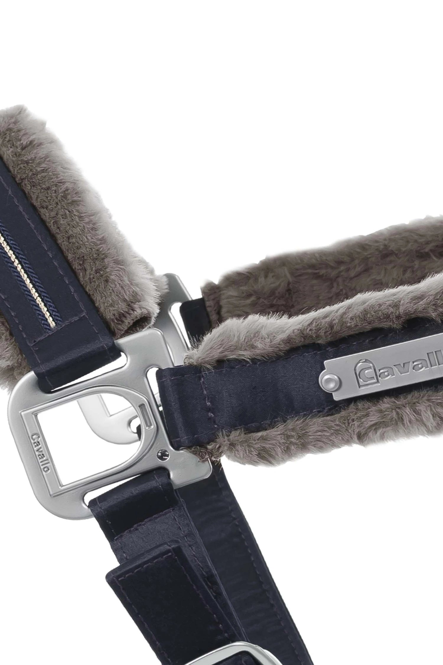 Cavallo Henny Halfter 2 Cavallo Henny Halfter – Bild 2