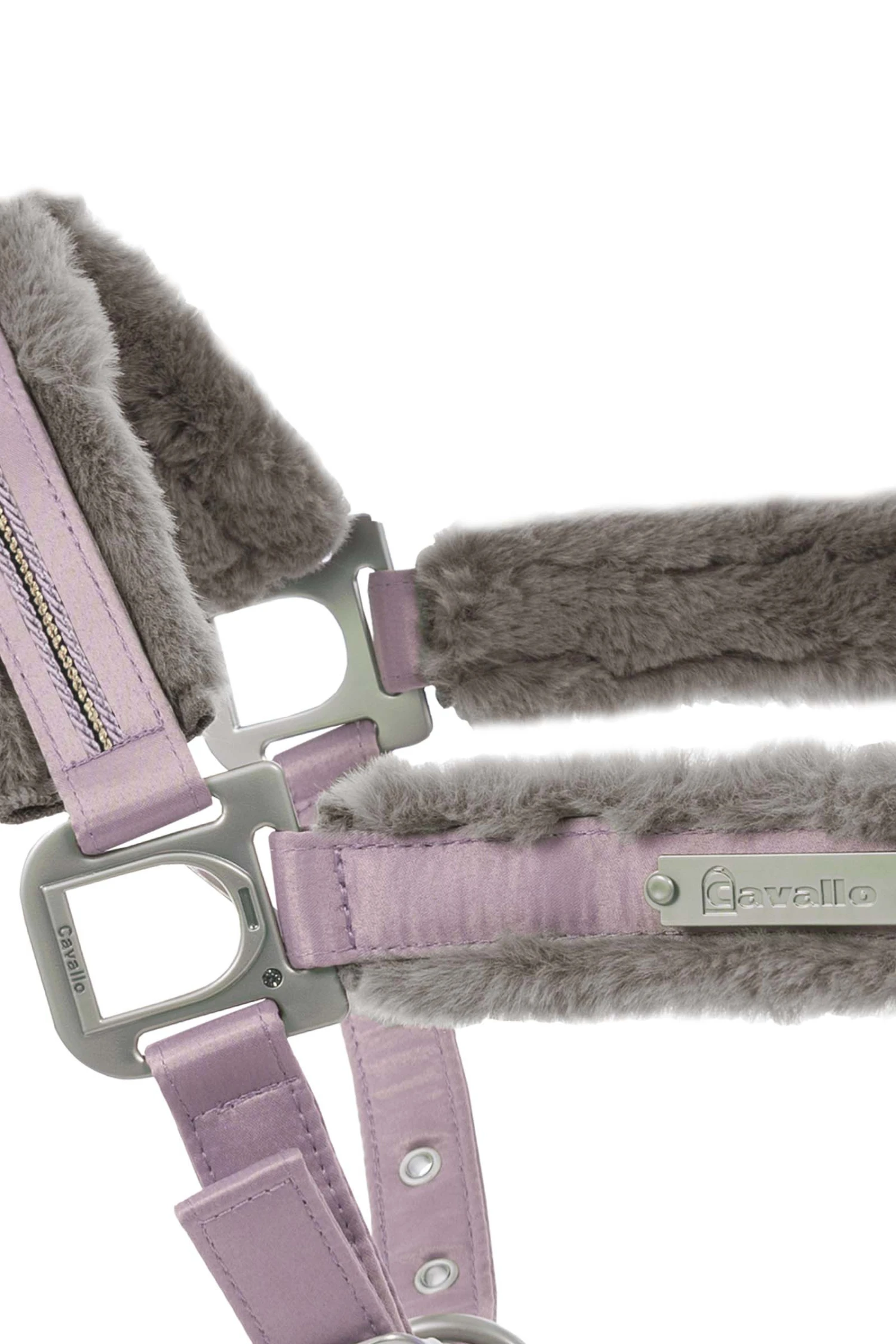 Cavallo Henny Halfter 6 Cavallo Henny Halfter – Bild 6