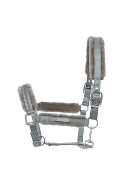 Cavallo Henny Halfter 12 Cavallo Henny Halfter -Cavallo Verkäufe 342687 MLGR 1