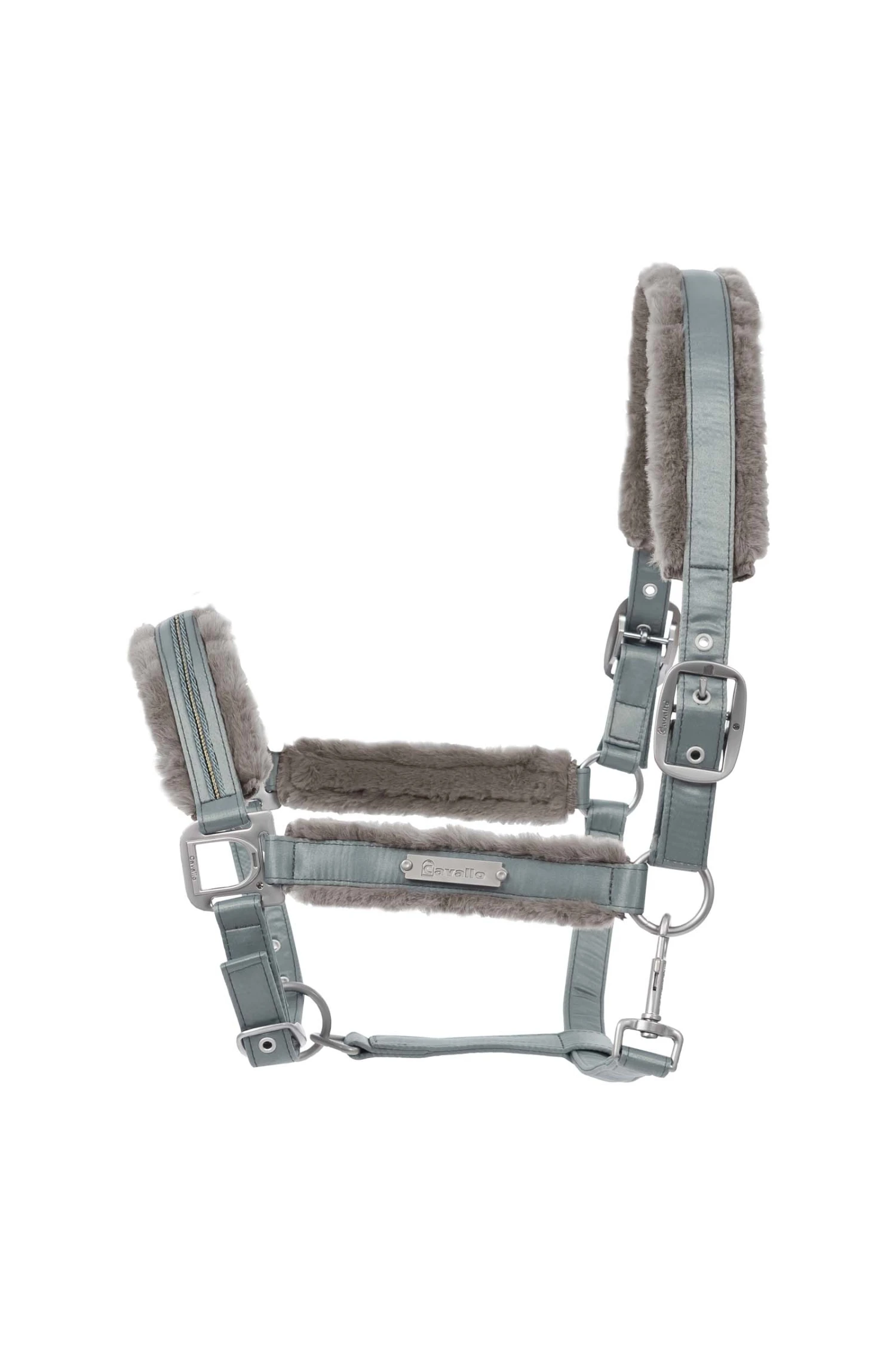 Cavallo Henny Halfter 3 Cavallo Henny Halfter – Bild 3