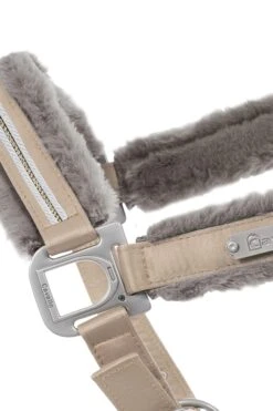 Cavallo Henny Halfter 17 Cavallo Henny Halfter -Cavallo Verkäufe 342687 SLBR 2