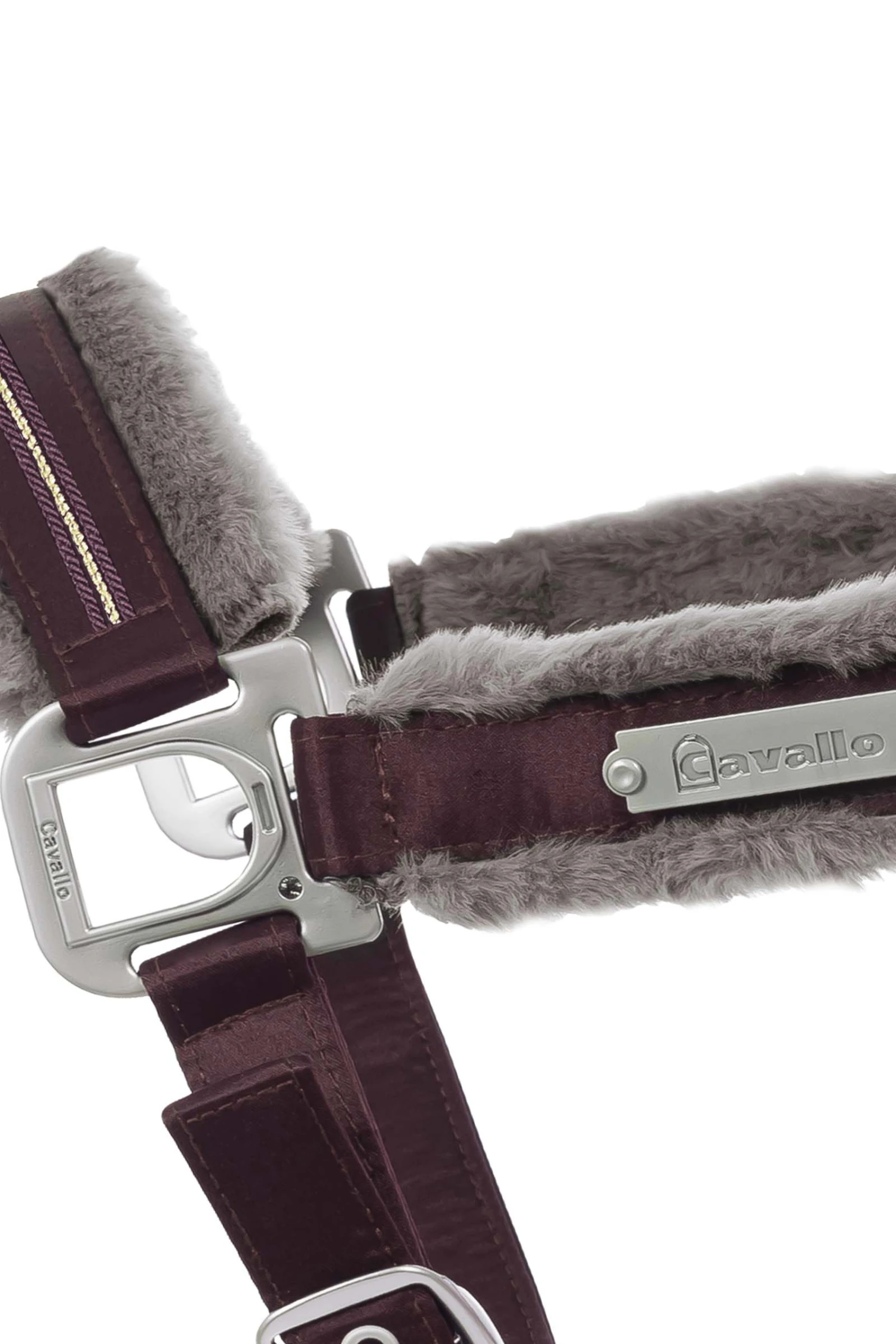 Cavallo Henny Halfter 10 Cavallo Henny Halfter – Bild 10