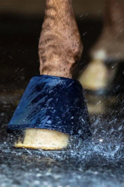 Waldhausen Water Boot, Paar -Cavallo Verkäufe 342831 B 4