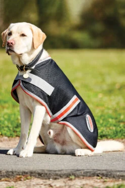 Weatherbeeta Comfitec Therapy-Tec 1200D Hundemantel, 100g -Cavallo Verkäufe 343112 BL SI RE 3