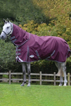 Weatherbeeta Comfitec Plus Dynamic II Detach-a-Neck Weidedecke Mit Abnehmbarem Halsteil, 360g -Cavallo Verkäufe 343119 DRE G 3