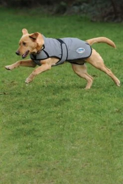 Weatherbeeta Comfitec Reflective Print Active Hundemantel -Cavallo Verkäufe 343124 BL FLEX 4