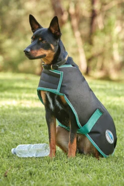 Weatherbeeta Green-Tec 900D Hundemantel Lite, 50g