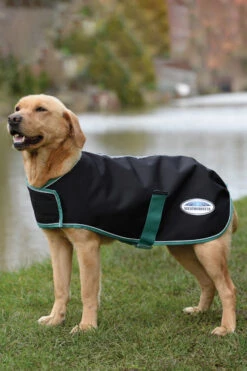 Weatherbeeta Green-Tec 900D Hundemantel Lite, 50g -Cavallo Verkäufe 343130 BL BDGR 3