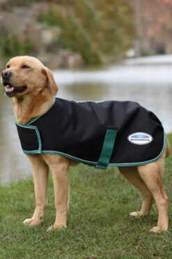 Weatherbeeta Green-Tec 900D Hundemantel Medium, 220g -Cavallo Verkäufe 343131 BL BDGR 3