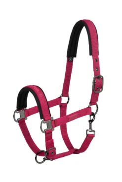 Eskadron Reflexx SS23 Halfter Mit Dornschnalle