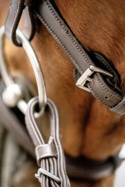 Schockemöhle Cape Town Select Trense 8 Schockemöhle Cape Town Select Trense -Cavallo Verkäufe 343529 DBR SI 3