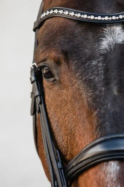 Schockemöhle Milton Anatomische Kandare -Cavallo Verkäufe 343547 BL SI 3