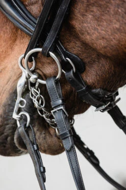 Schockemöhle Milton Anatomische Kandare -Cavallo Verkäufe 343547 BL SI 4