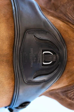 Schockemöhle Pittsburgh Stretch Kurzgurt 6 Schockemöhle Pittsburgh Stretch Kurzgurt -Cavallo Verkäufe 343554 BL SI 3