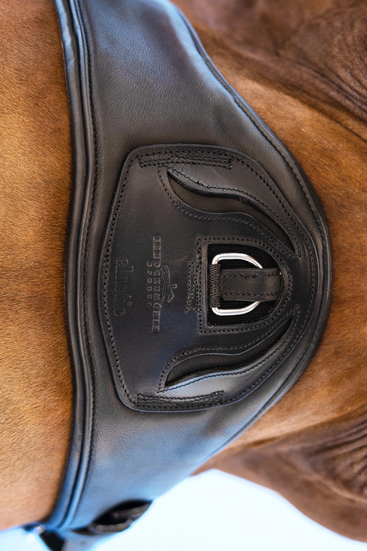 Schockemöhle Pittsburgh Stretch Kurzgurt 3 Schockemöhle Pittsburgh Stretch Kurzgurt – Bild 3