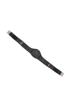 Schockemöhle Portland Langgurt 22 Schockemöhle Portland Langgurt -Cavallo Verkäufe 343555 BL SI 1