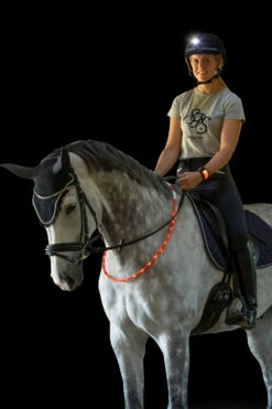 USG LED Lighting Kit -Cavallo Verkäufe 343709 OR 02