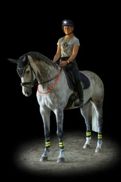 USG LED Lighting Kit -Cavallo Verkäufe 343709 RE 1