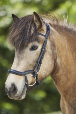 Waldhausen Anatomic Island Trensenzaum -Cavallo Verkäufe 343984 BL 3