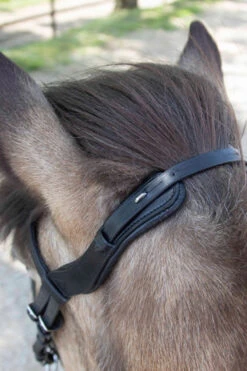 Waldhausen Anatomic Island Trensenzaum -Cavallo Verkäufe 343984 BL 4