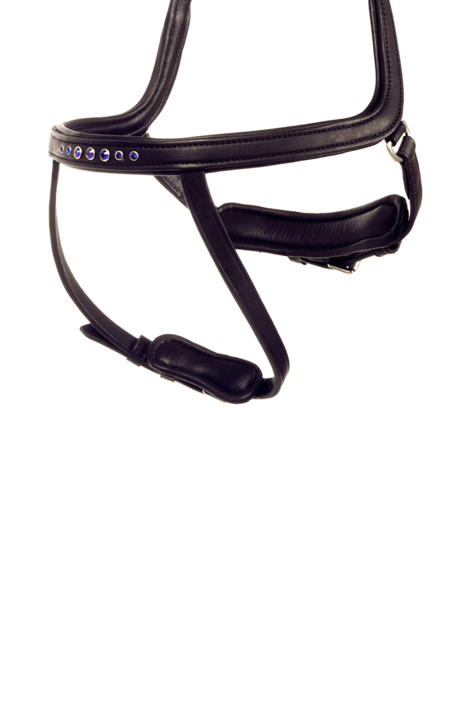 Kavalkade Kóngablár Ivy Reithalfter Für Aradis Islandtrense 1 Kavalkade Kóngablár Ivy Reithalfter Für Aradis Islandtrense