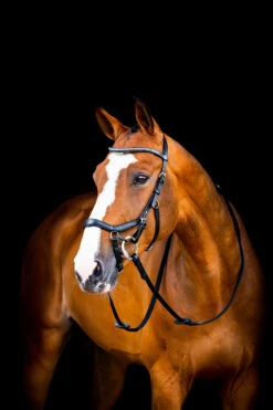 Horseware Rambo Micklem 2 Diamante Competition Trense