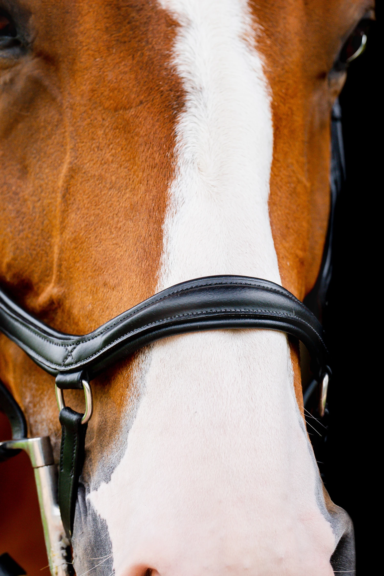 Horseware Rambo Micklem 2 Diamante Competition Trense 2 Horseware Rambo Micklem 2 Diamante Competition Trense – Bild 2