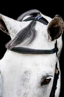 Horseware Rambo Micklem 2 Multi Trense -Cavallo Verkäufe 345014 BL 03