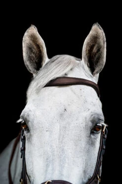 Horseware Rambo Micklem 2 Multi Trense -Cavallo Verkäufe 345014 DBR 02