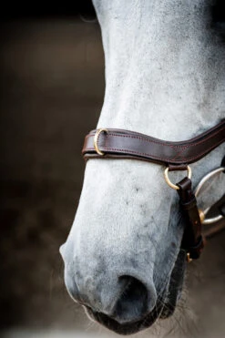 Horseware Rambo Micklem 2 Multi Trense -Cavallo Verkäufe 345014 DBR 04