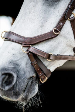 Horseware Rambo Micklem 2 Multi Trense -Cavallo Verkäufe 345014 DBR 05