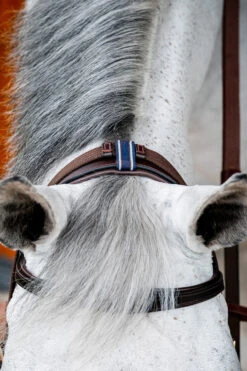 Horseware Rambo Micklem 2 Multi Trense -Cavallo Verkäufe 345014 DBR 06