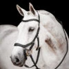 Horseware Rambo Micklem 2 Diamante Competition Trense Mit Zügeln