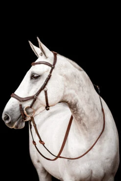 Horseware Rambo Micklem 2 Diamante Competition Trense Mit Zügeln 7 Horseware Rambo Micklem 2 Diamante Competition Trense Mit Zügeln -Cavallo Verkäufe 345015 DBR 01