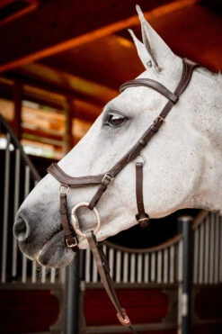 Horseware Rambo Micklem 2 Diamante Competition Trense Mit Zügeln 8 Horseware Rambo Micklem 2 Diamante Competition Trense Mit Zügeln -Cavallo Verkäufe 345015 DBR 02