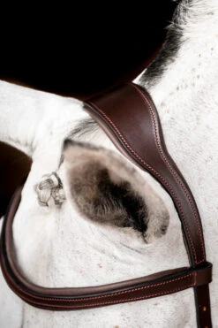 Horseware Rambo Micklem 2 Diamante Competition Trense Mit Zügeln 9 Horseware Rambo Micklem 2 Diamante Competition Trense Mit Zügeln -Cavallo Verkäufe 345015 DBR 03