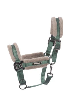 Cavallo Jina Halfter -Cavallo Verkäufe 345125 SGR 01