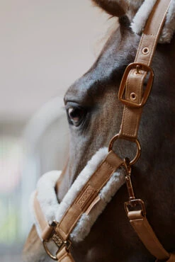 Eskadron Platinum 23 Double Pin Metallic Faux Leather Halfter -Cavallo Verkäufe 345447 CLBR 02